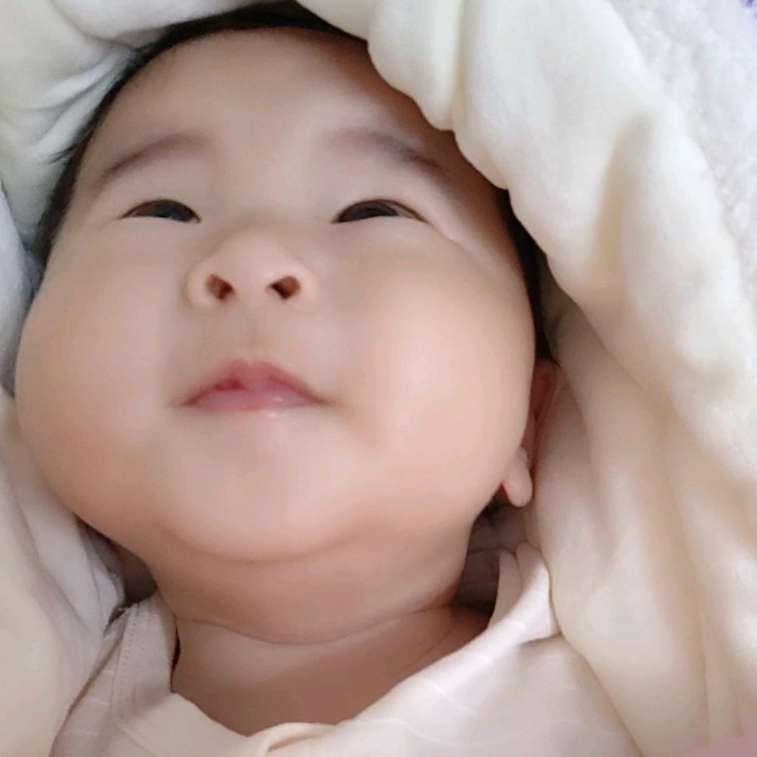 村花丁不同