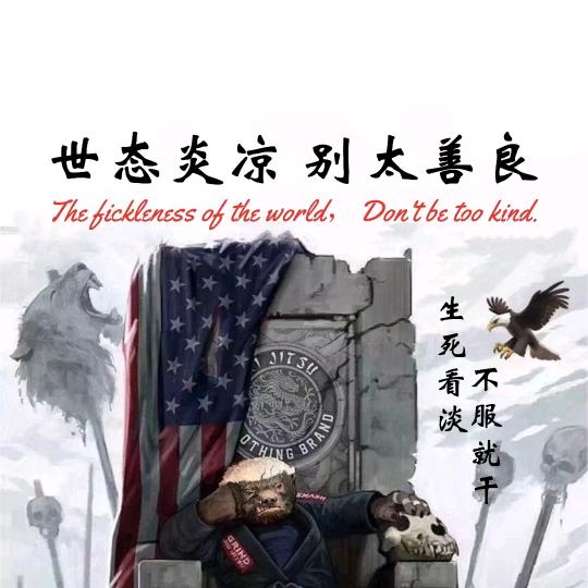 飞