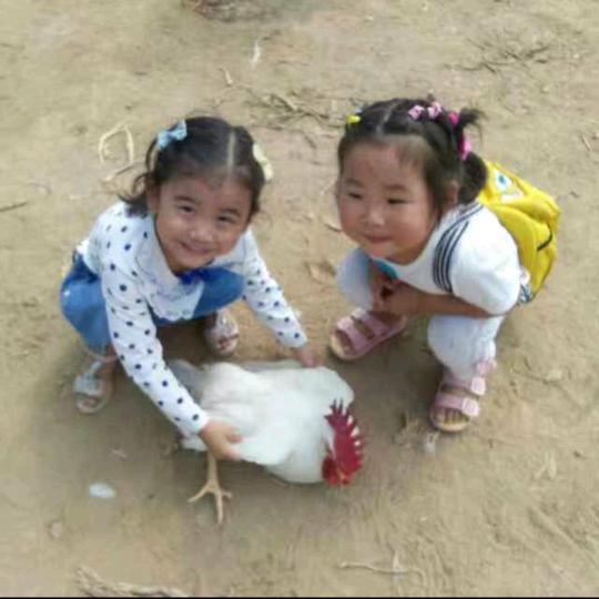 青青：