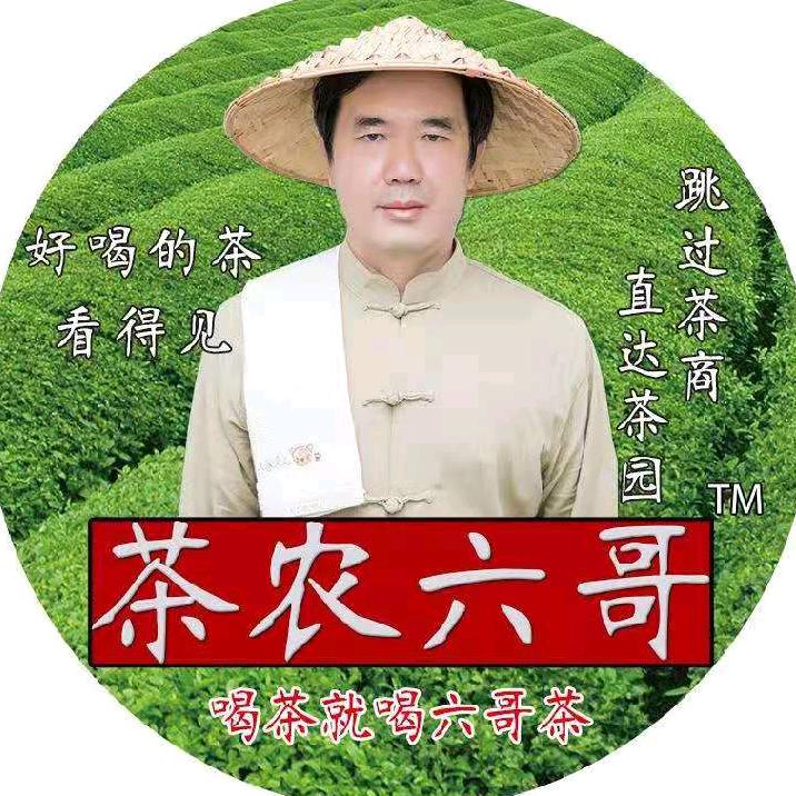 六哥说茶