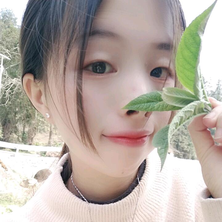 晨晨吖🌈
