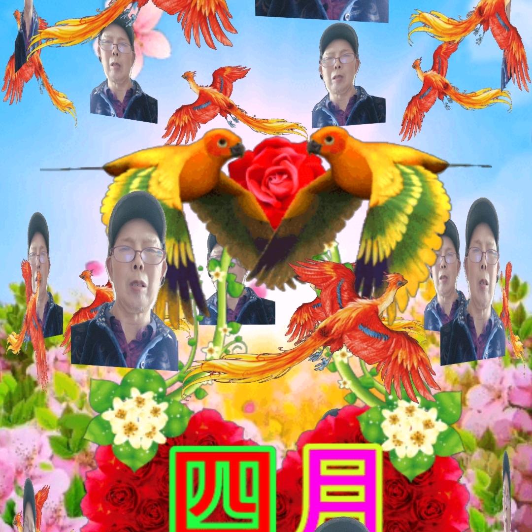 丶刘三出匆