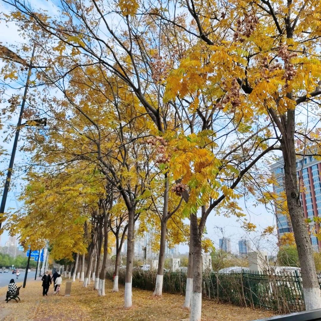 只有香如故