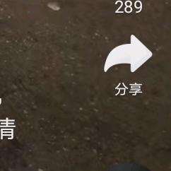 陈家莲