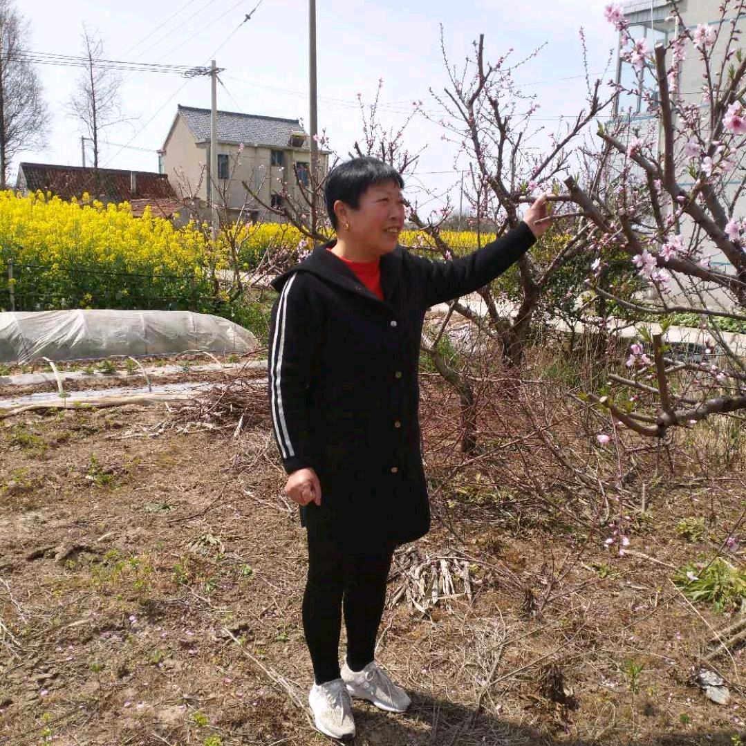 王美丽