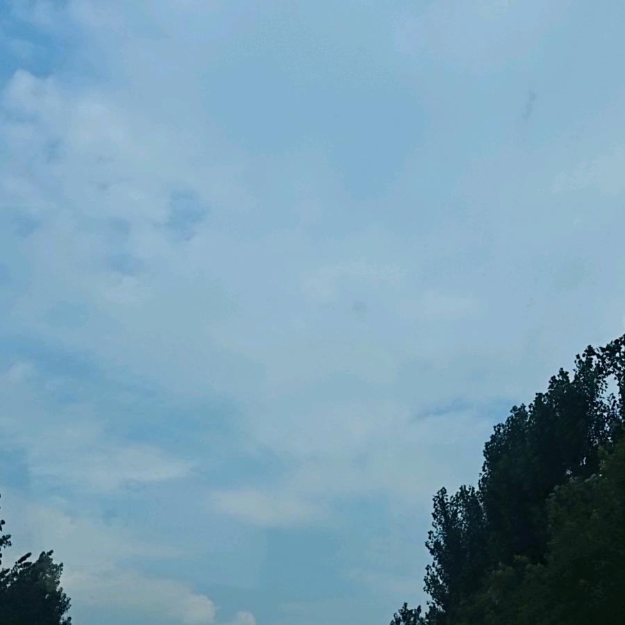 冬芳之恋