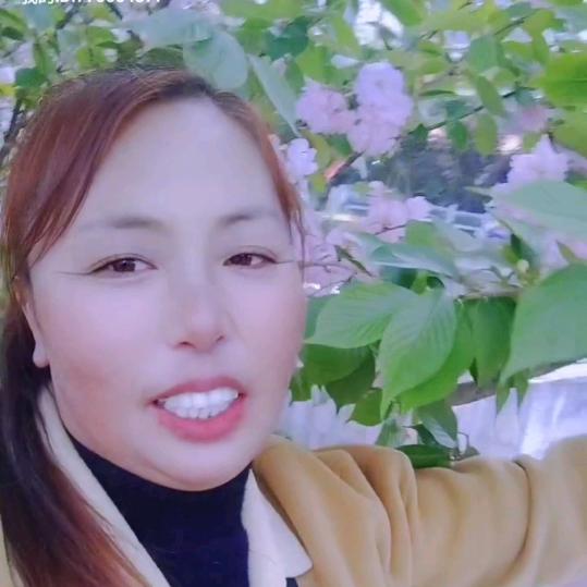 贵州东升妹