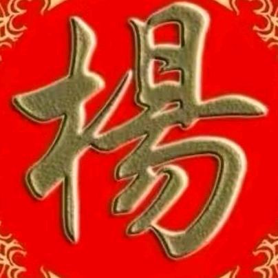 山东？杨哥