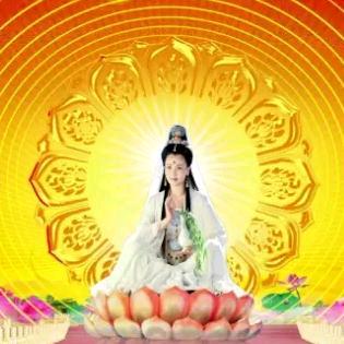 所经之事！🙏🙏🙏