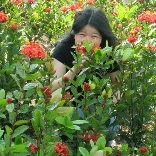 福安