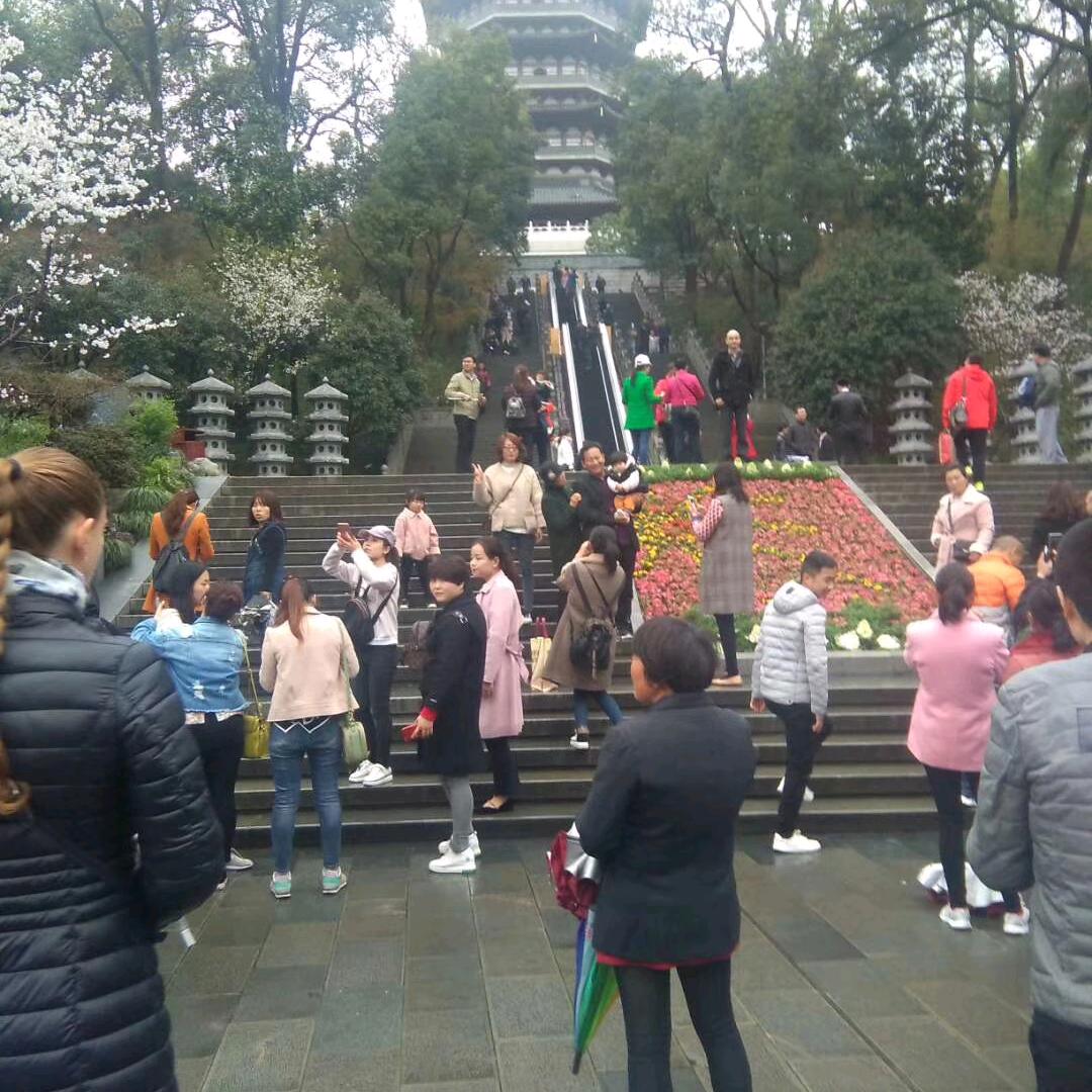 走过认知