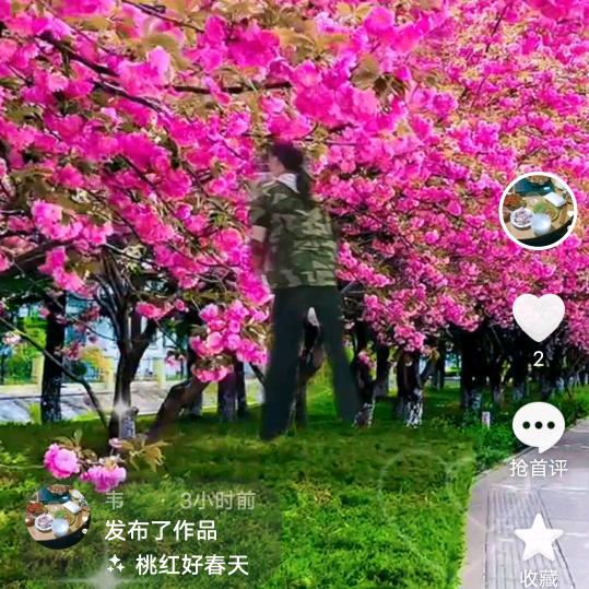 韦