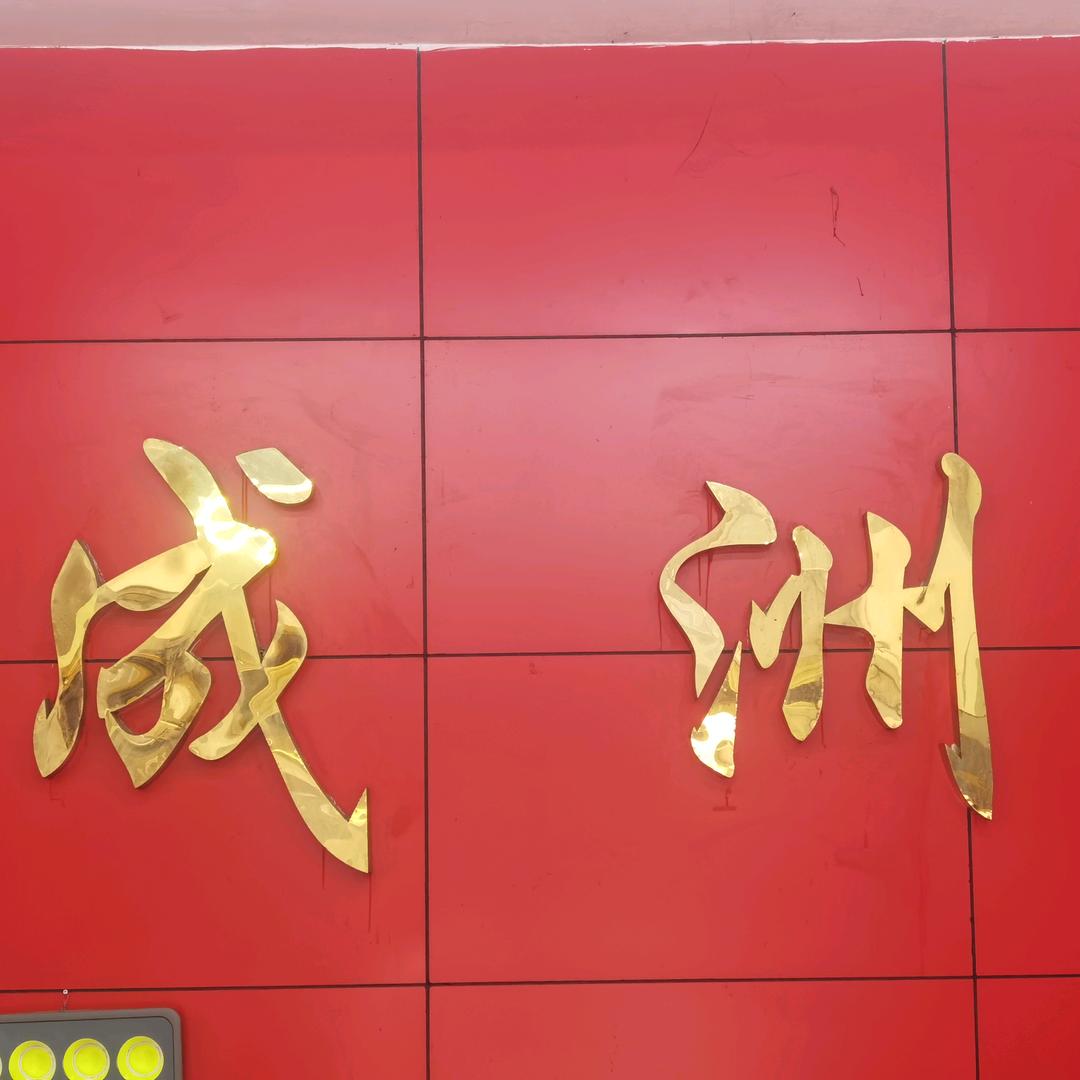 成洲大军