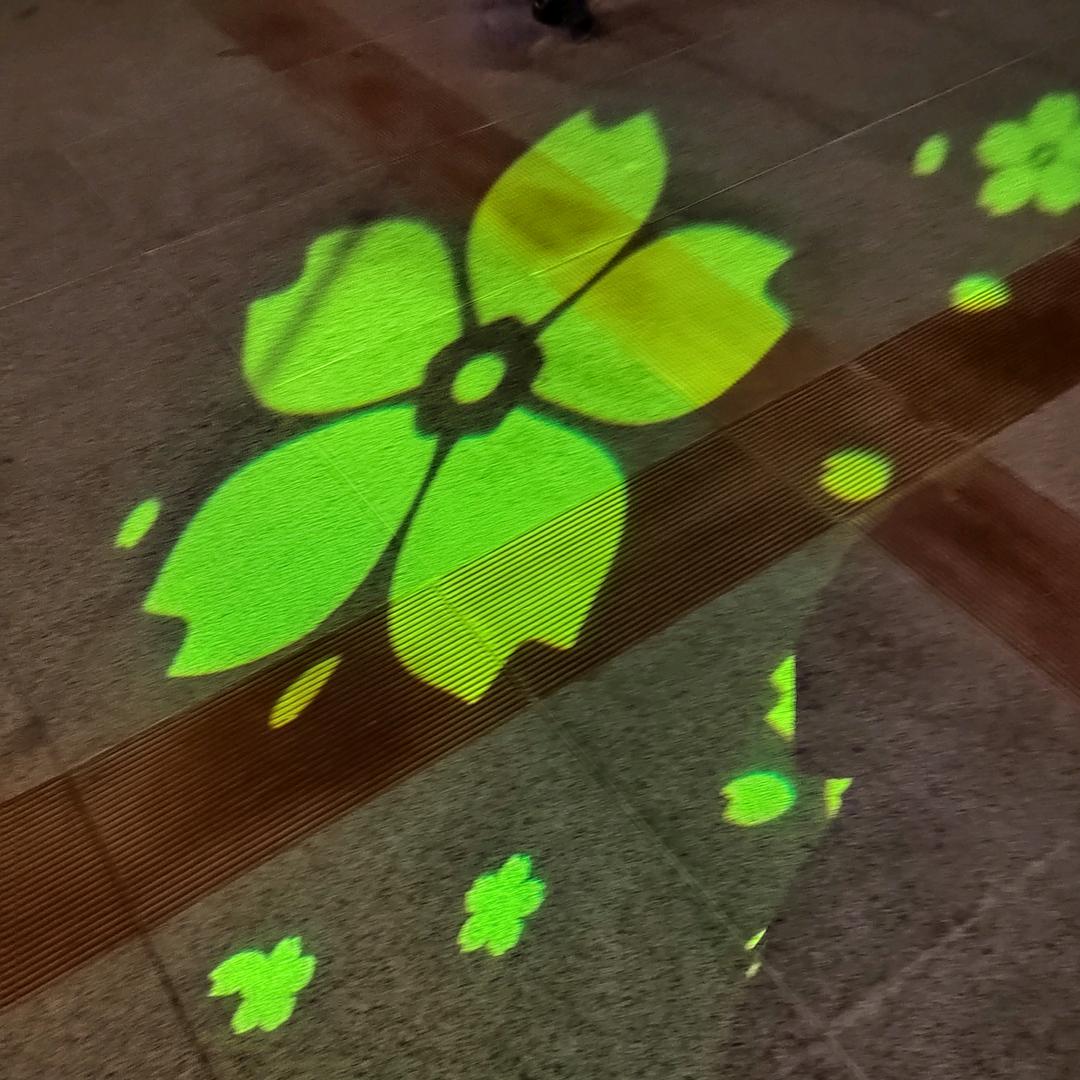 我的未来我做主