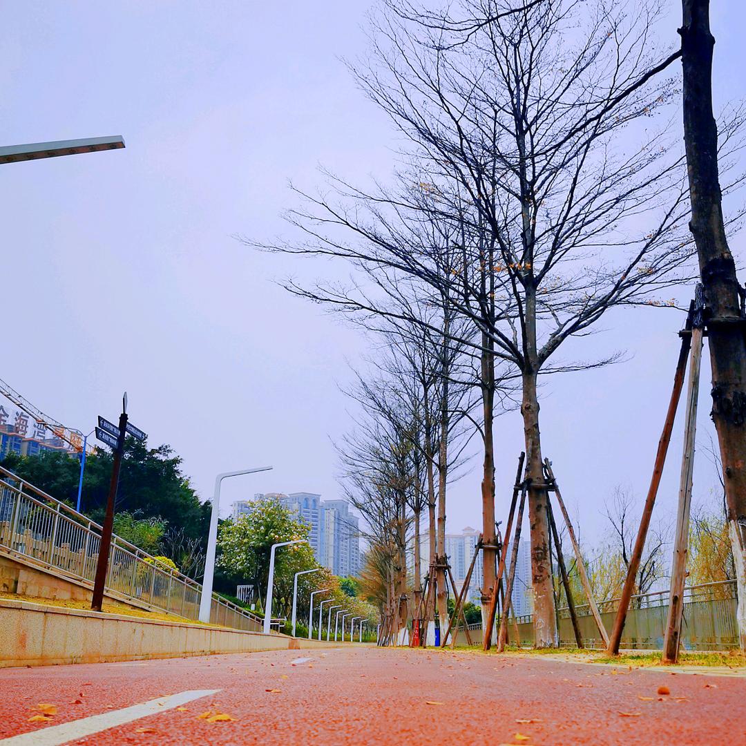 村雨鸣寂