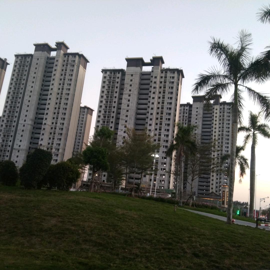 永龙
