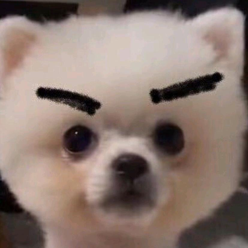 我想当个猴
