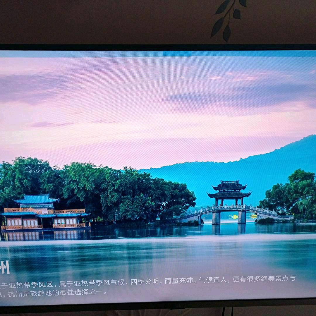 鹏程万里