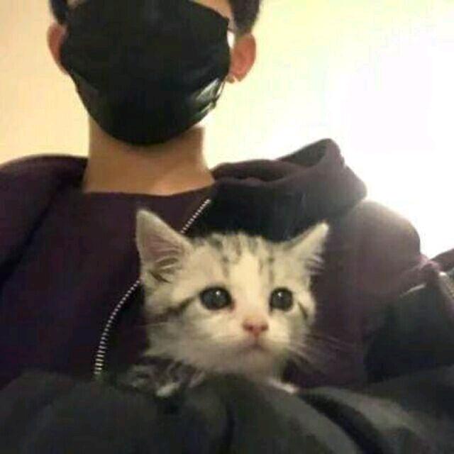 面瘫的狐狸先生