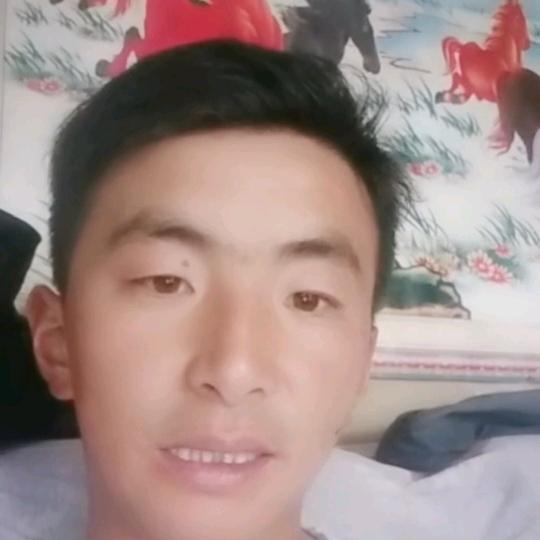 青海牦牛哥