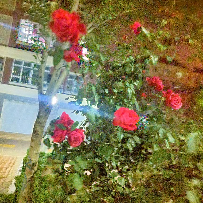 快乐每一天