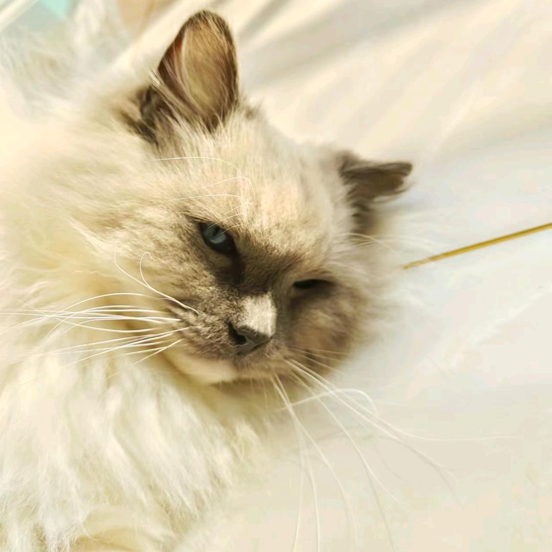 关于哈哈哈
