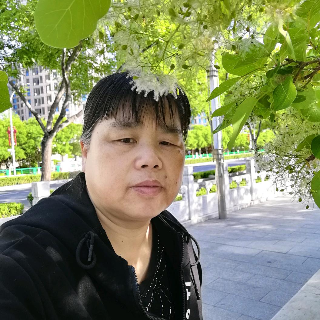 镜花缘