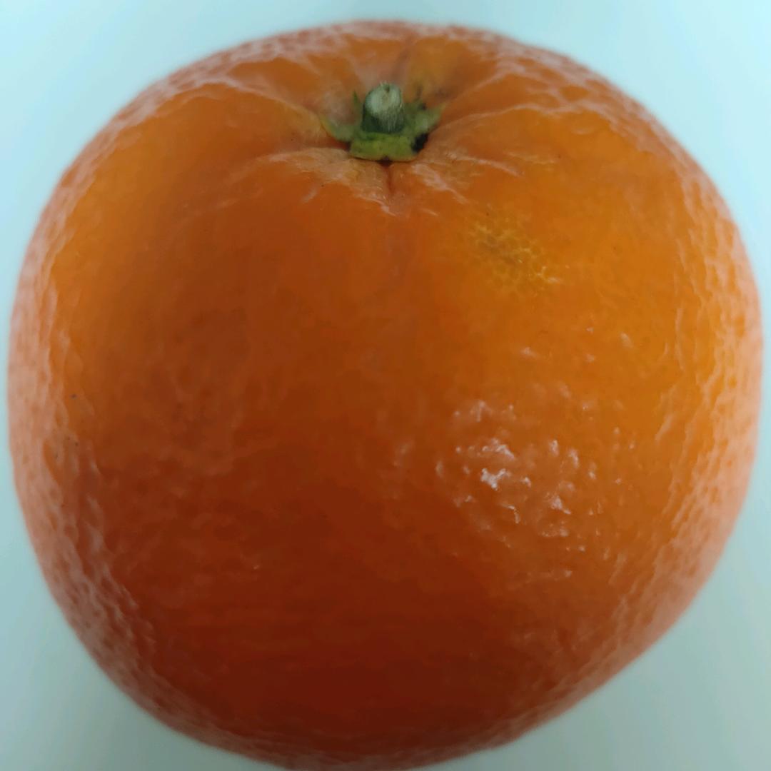 凌圆