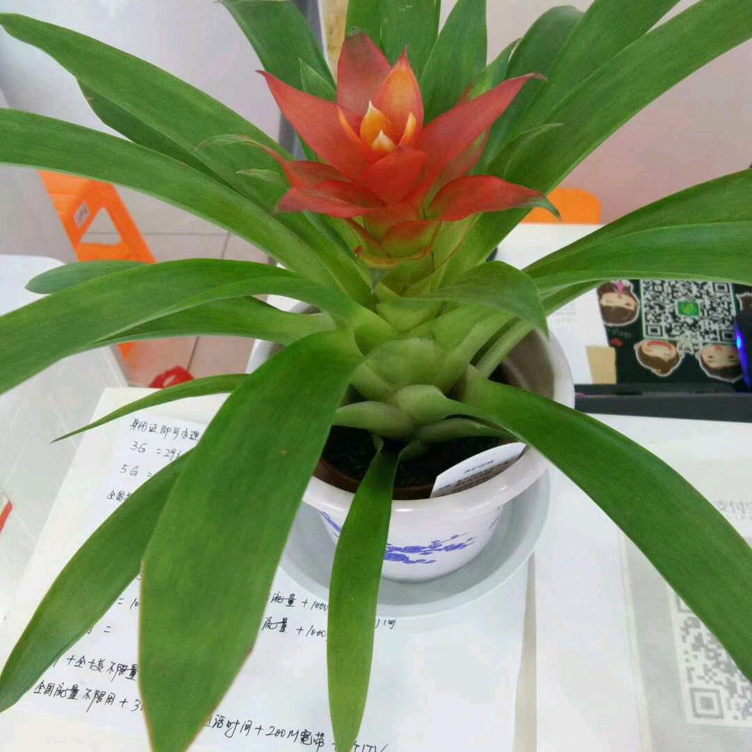 人生要笑着面对