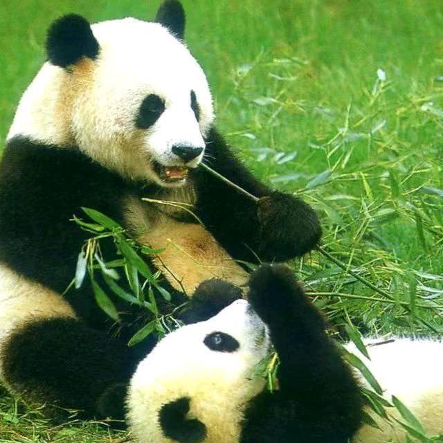 闲来无事