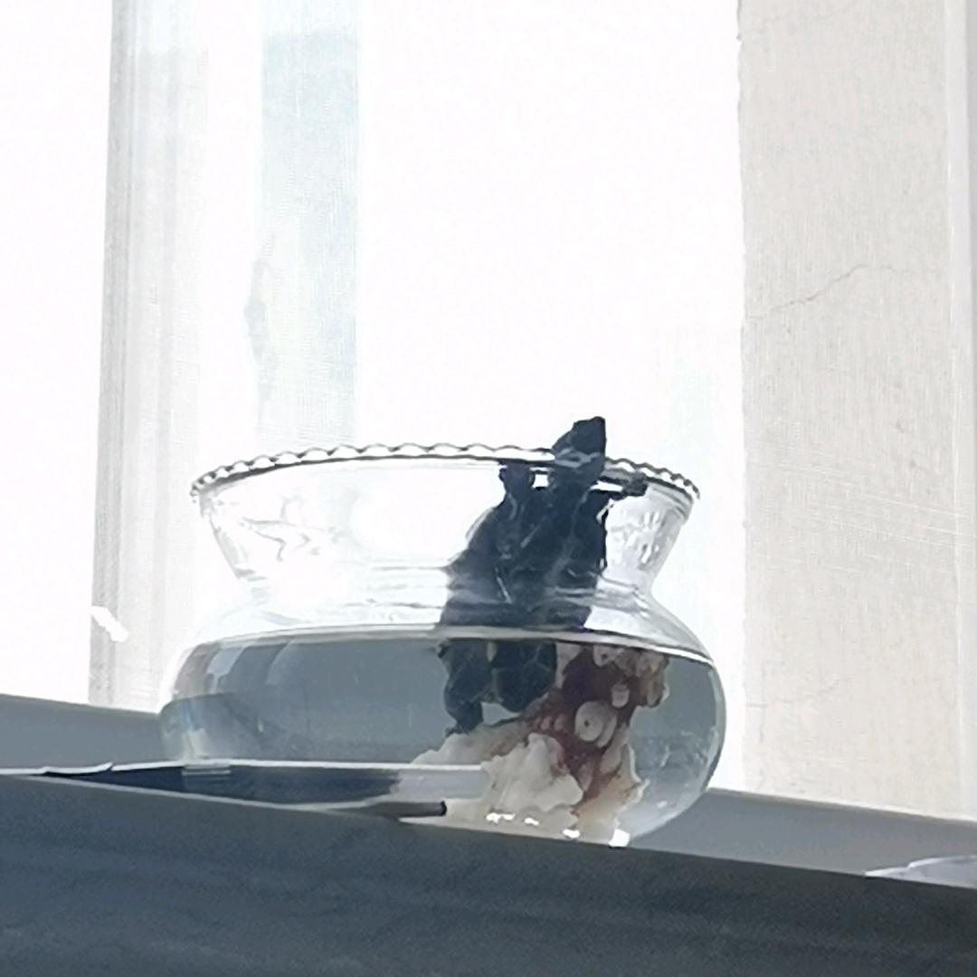 嘻嘻嘻嘻嘻