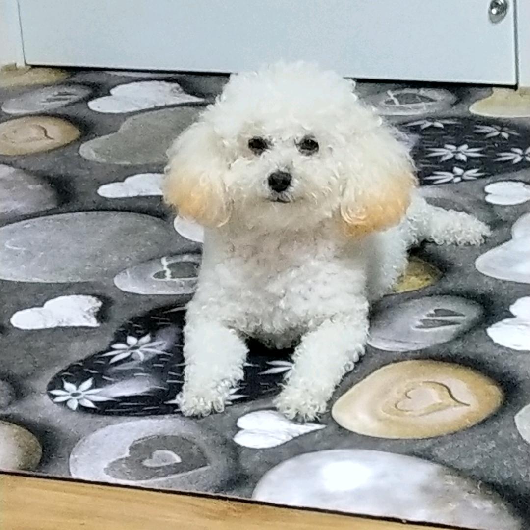 遥远的地方