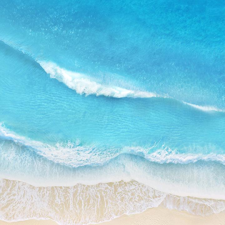 流浪小s