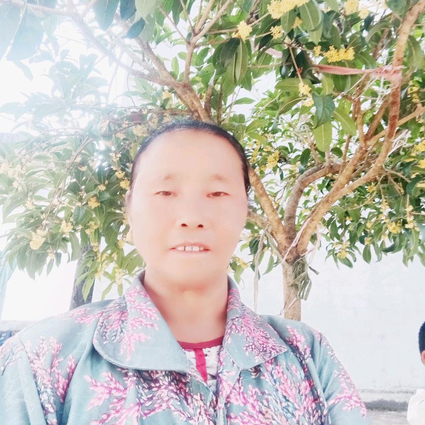 农村宝奶奶（首播）