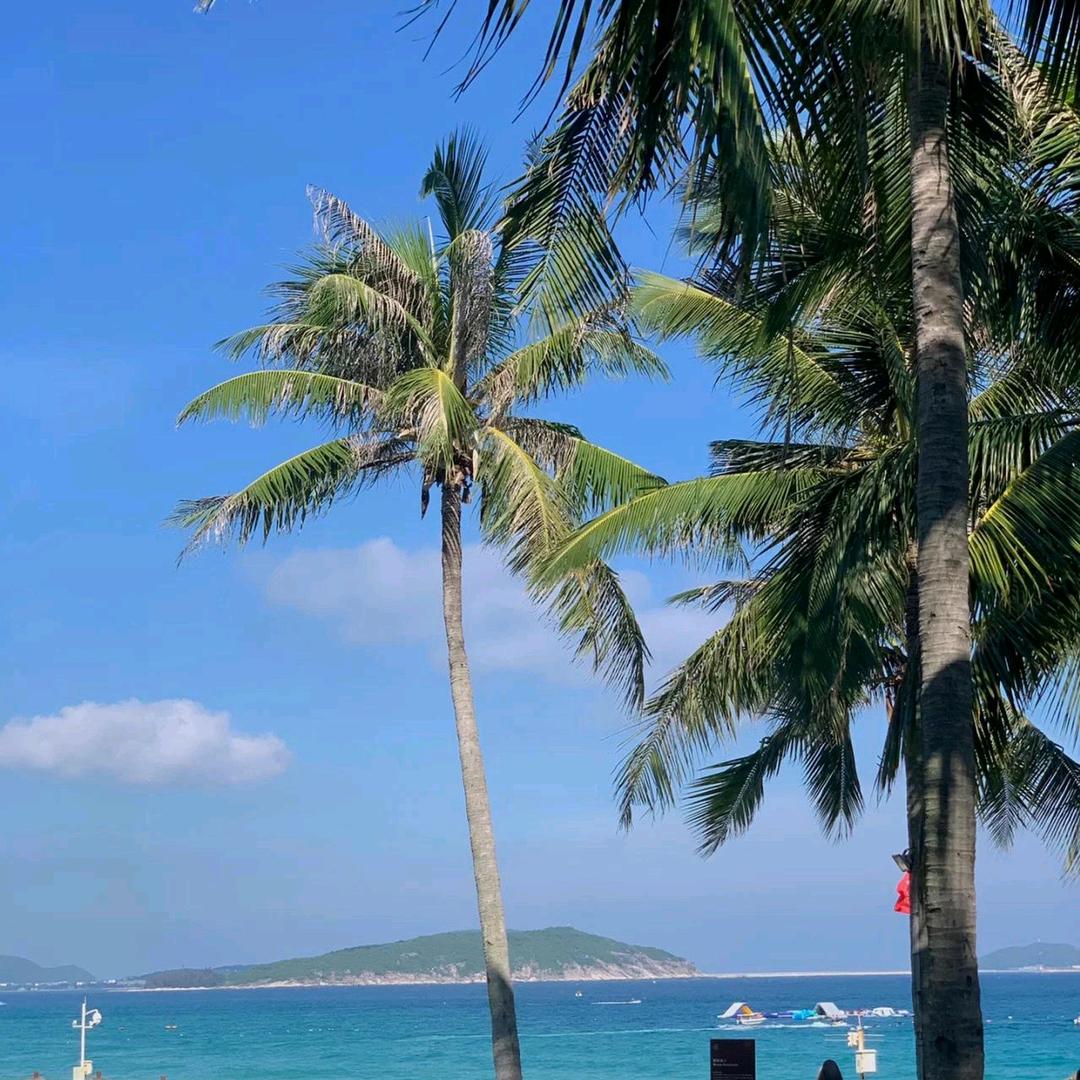 临床医学张老师🥰