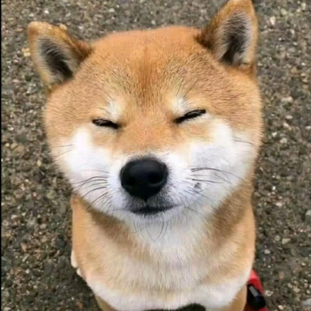 欧涛🏀