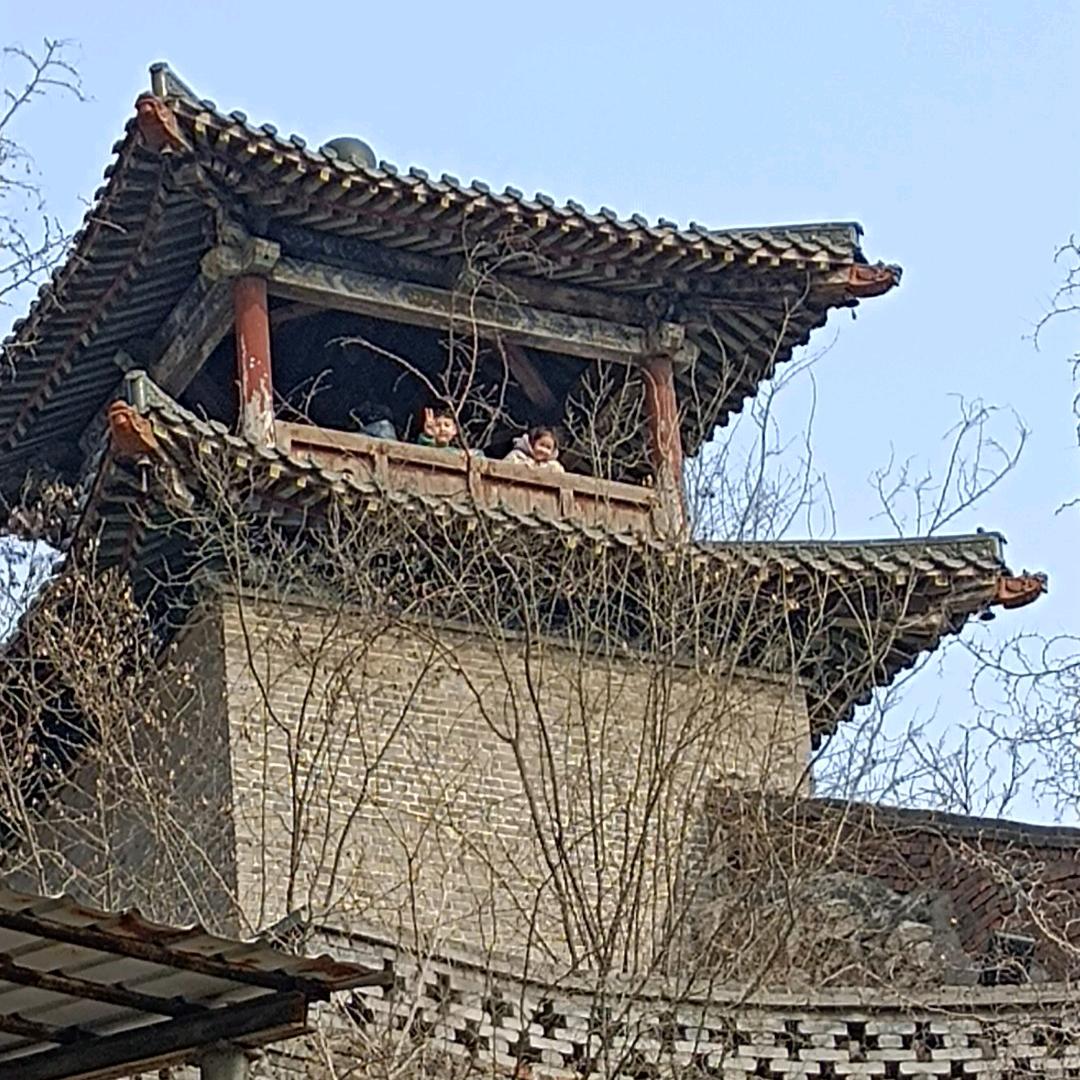 仙人掌🌵