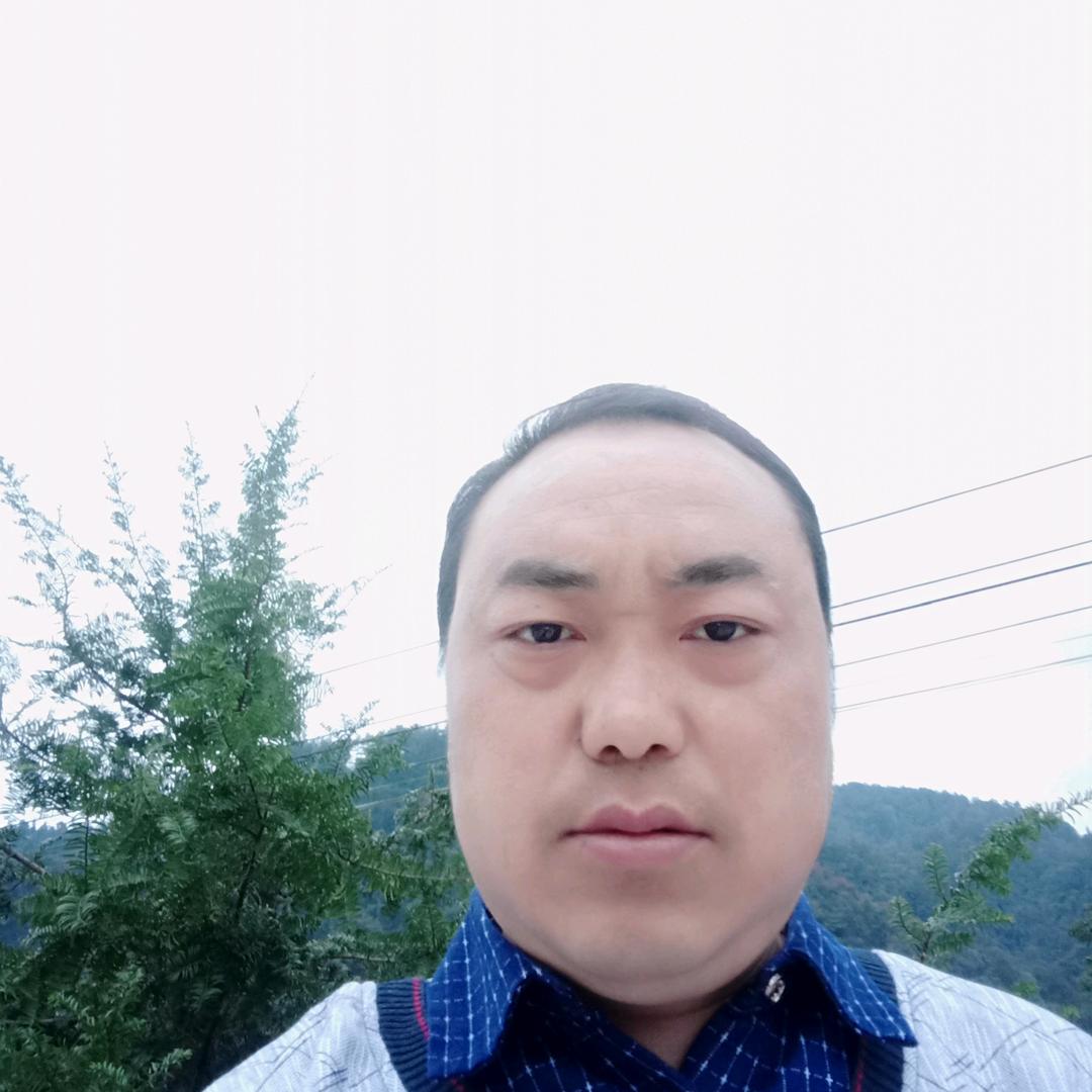 🌴520🍀13🍀14红尘有你🌴