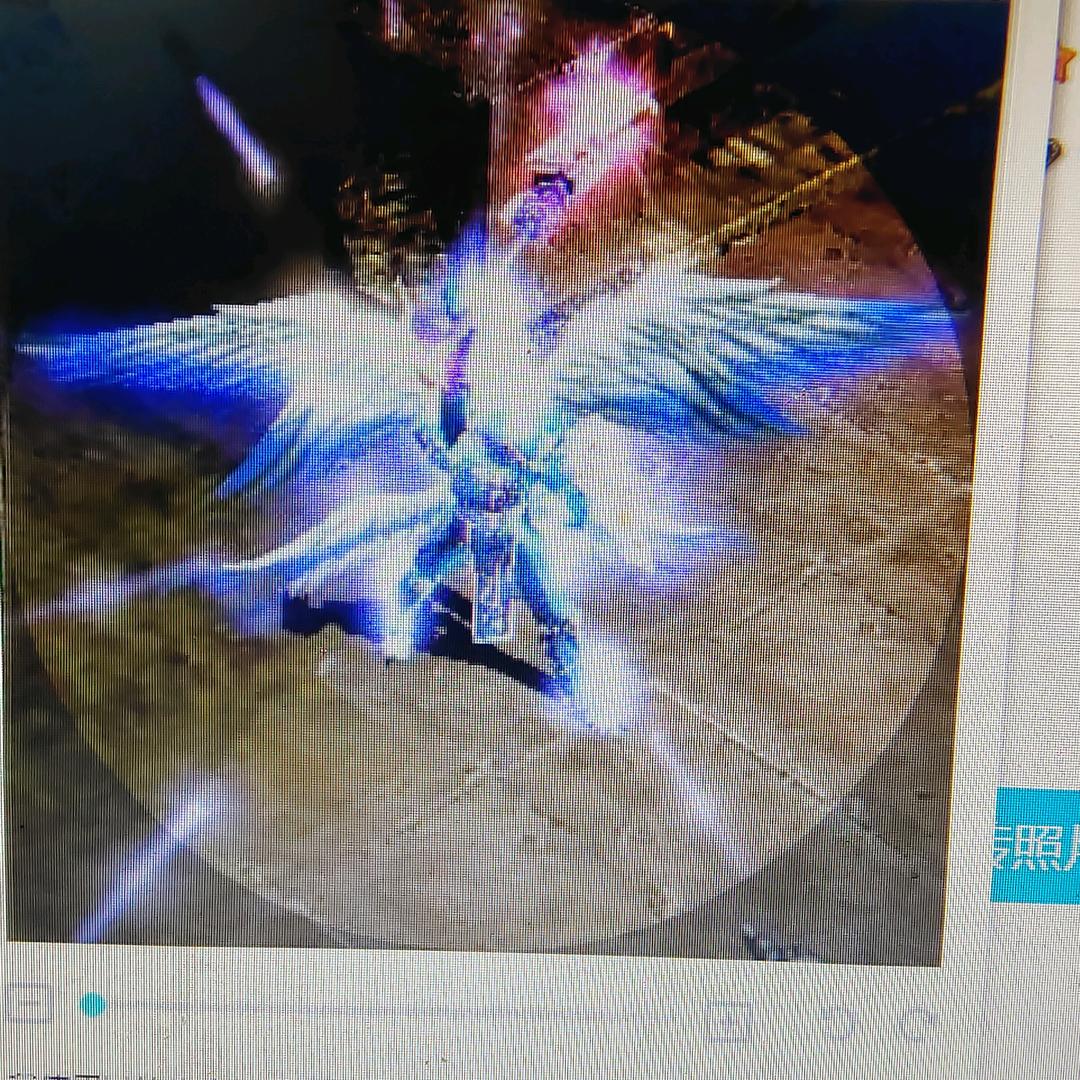 龙锋