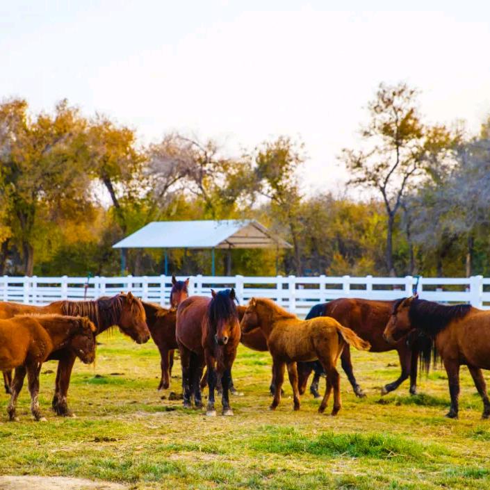 灵秀阿热勒托海