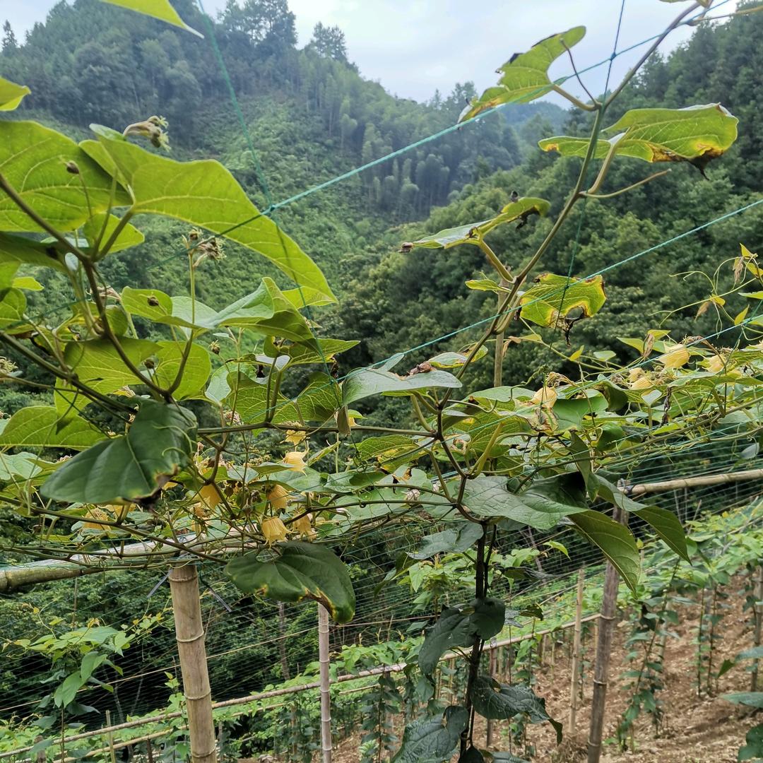 用户5228741591284