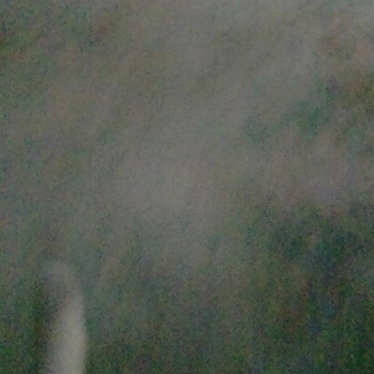 王本景