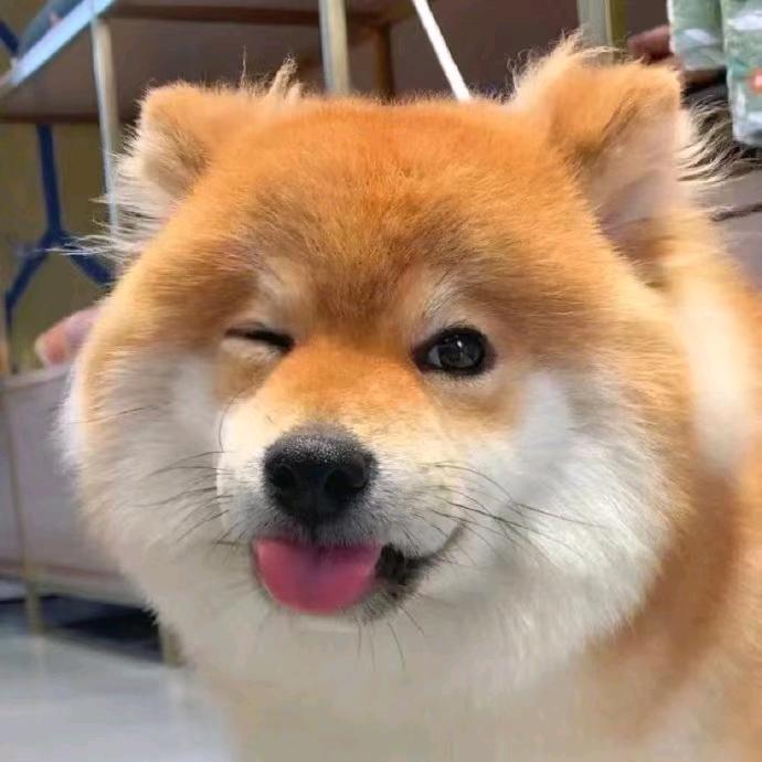 爱抓娃娃的李子。