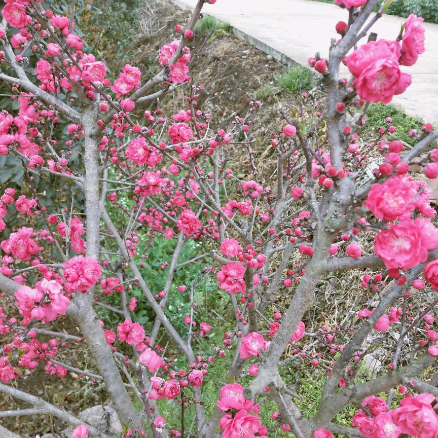 缘份
