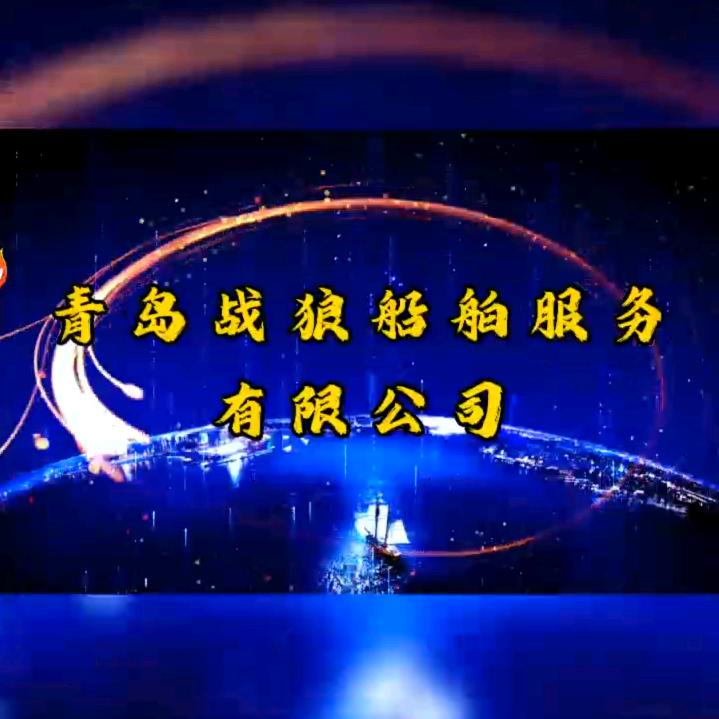 董家口海钓战狼