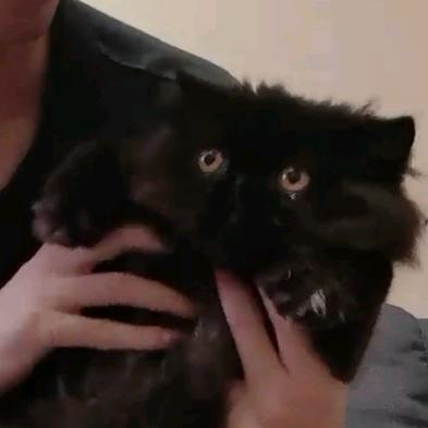 多发我点钱吧求求了