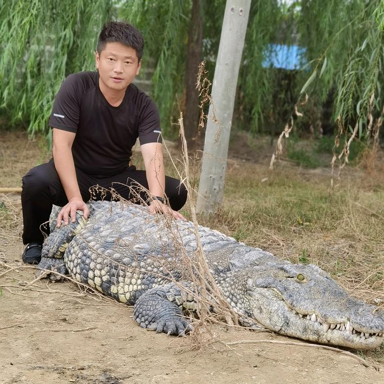 我的铲屎官生活