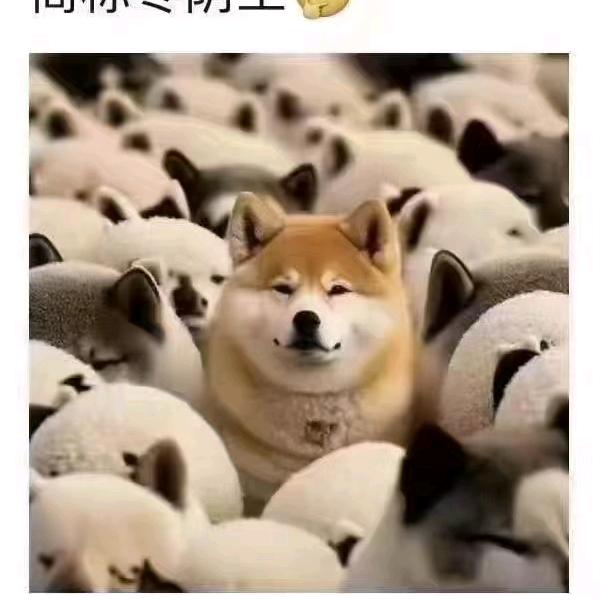咿呀呀