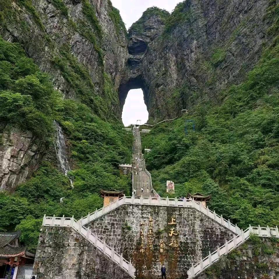 真诚的我