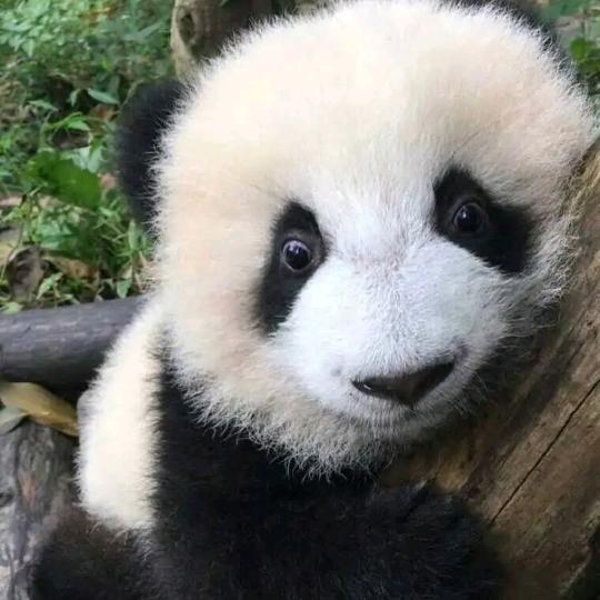 君心暖向阳